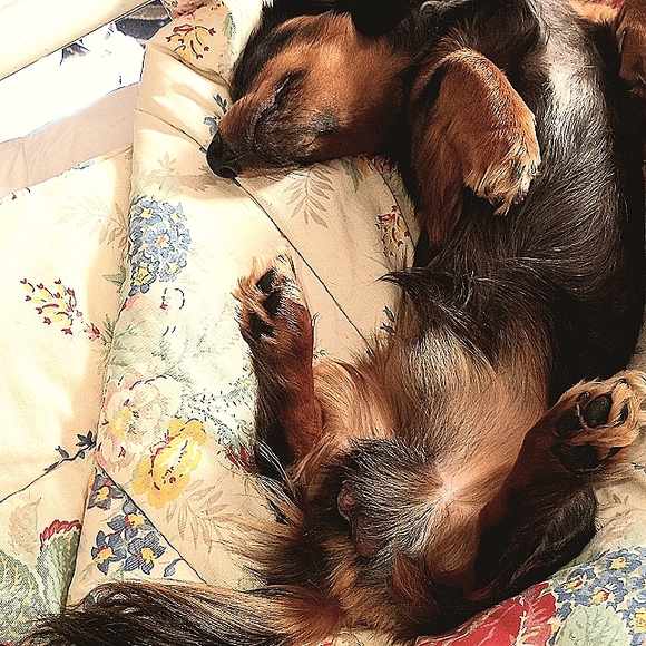 Meet your Posher, Kristine - Picture 4 of 5